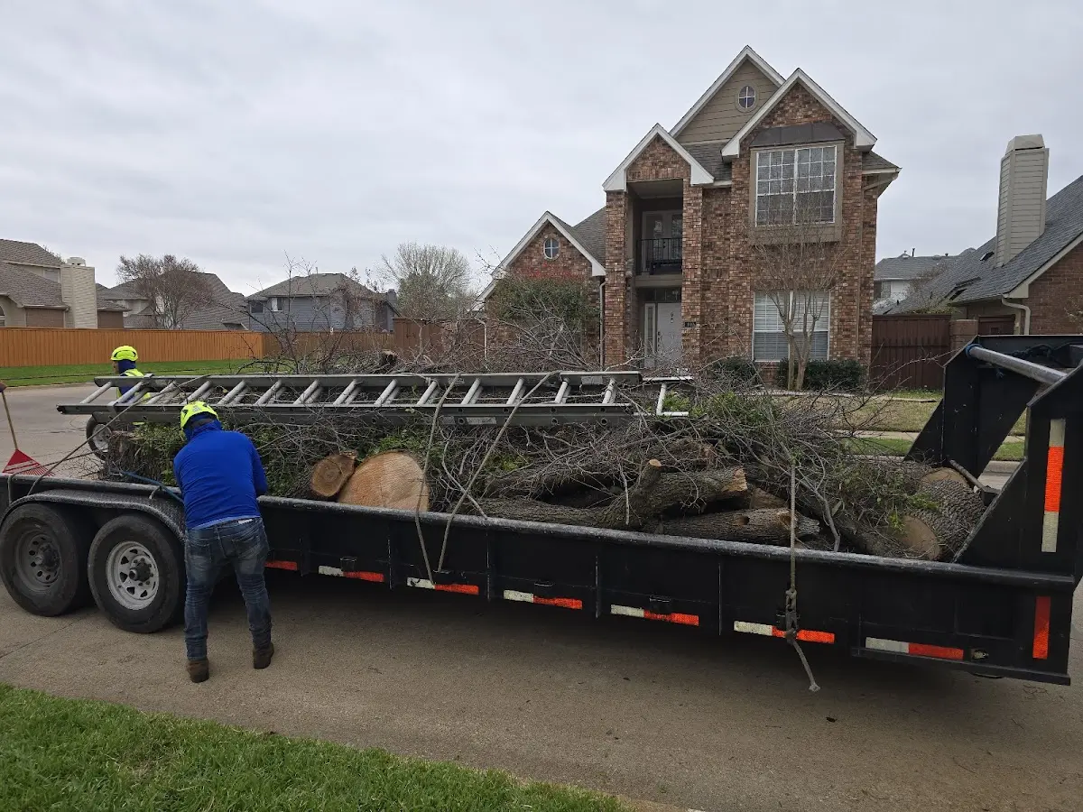 Expert Tree Pest Control with proper safety equipment in Prairie Du Sac